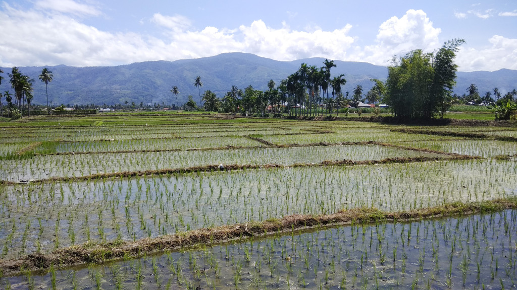 Lahan Pertanian Masyarakat Desa Semadam Asal